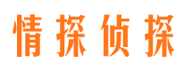 陵川市调查公司